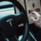 Tesla Inc (NASDAQ: TSLA) Demands Taking Down Of Videos By Advocacy Group Terming Its FSD Tech Dangerous